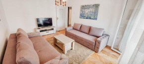 Apartment Bracovic - city center